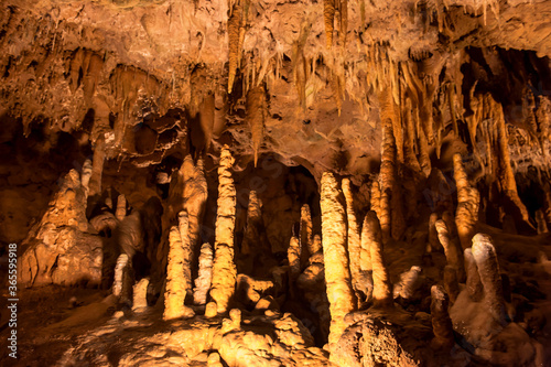 Canvas Print The wonderful and curious caverns state park Florida.