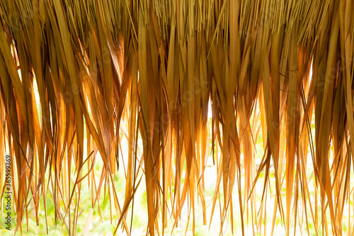 straw roof as background