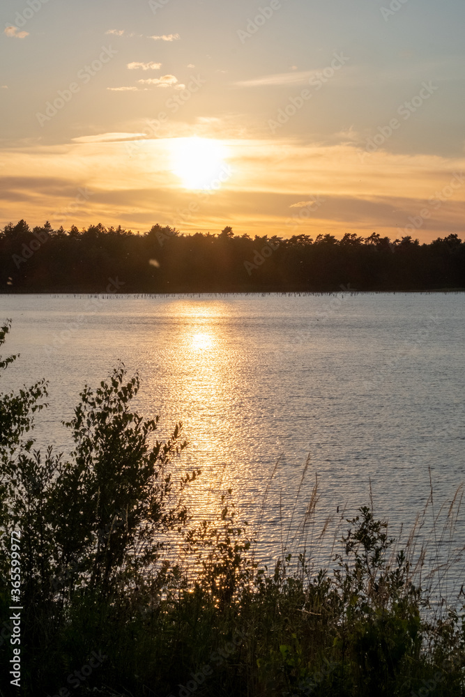 Panorama of a gorgeous sunset at a forest lake, with gold and blue color in the sky and trees reflected in the water. High quality photo Panorama of a gorgeous sunset at a forest lake, with gold and blue color in the sky and trees reflected in the water. High quality photo