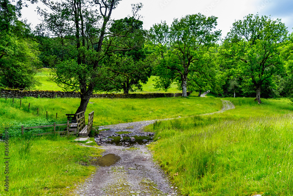 Naklejka premium Walking path in Cumbria, UK.