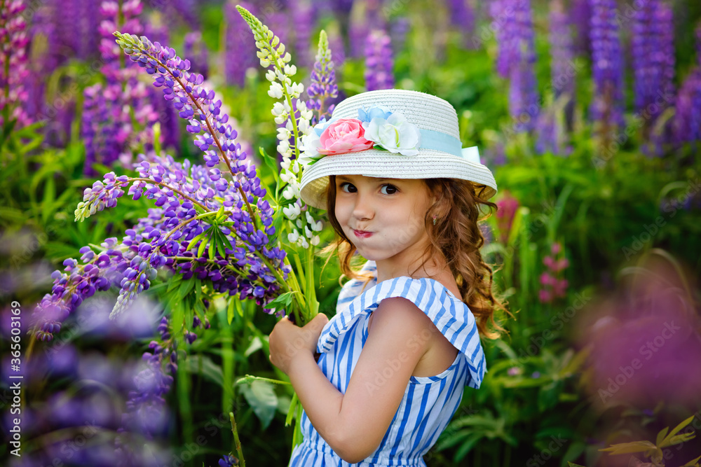 beautiful little girl in dress and hat in field of lupins. Girl holds a large bouquet of purple lupins in flowering field. Blooming lupine flowers. Nature concept. Provence. Childhood. Summer vacation