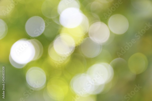 abstract nature bokeh background