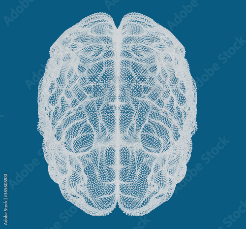 abstract Human Brain on blue background photo