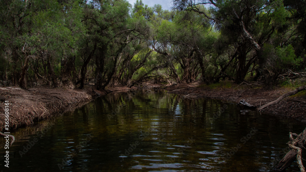 River River