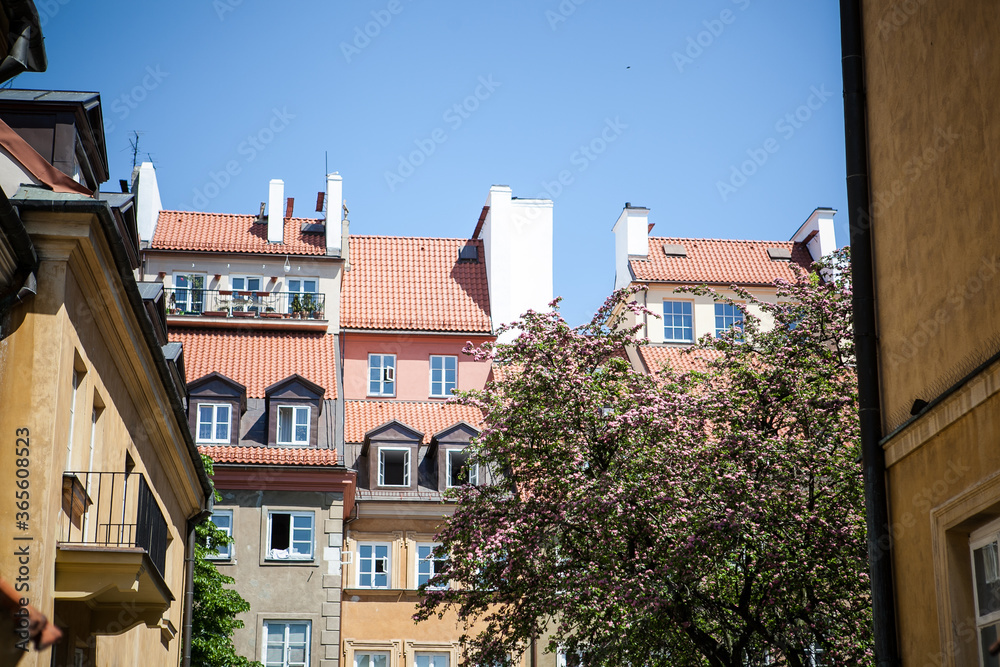 Houses among trees in the old town in Warsaw