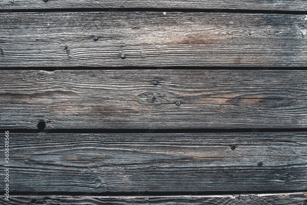 texture of bark wood use as natural background texture of bark wood use as natural background
