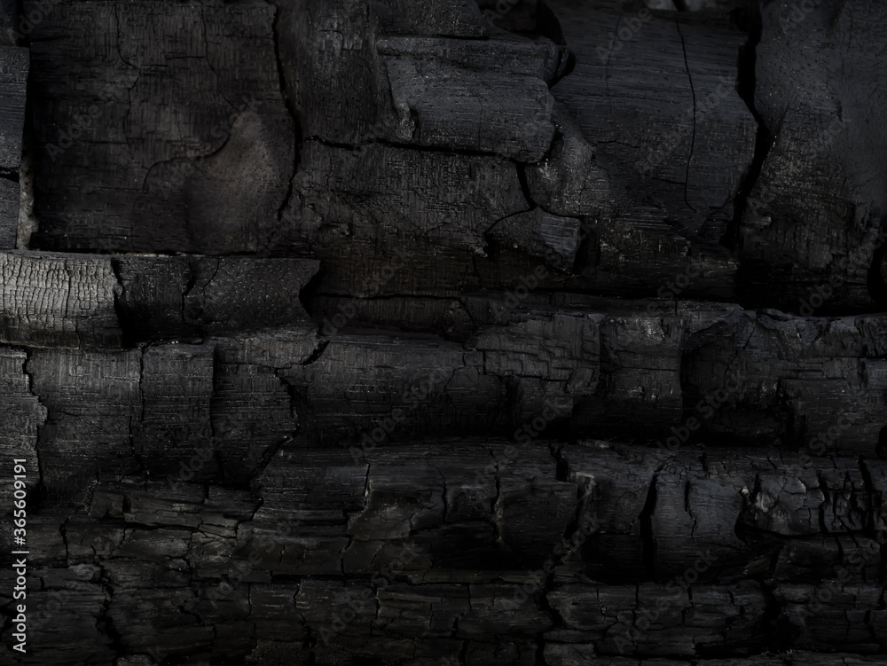 Details on the surface of charcoal. Details on the surface of charcoal.