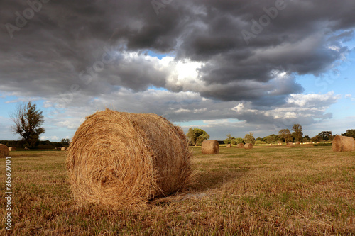 Dark clouds over a sheaf of hay in the meadow.