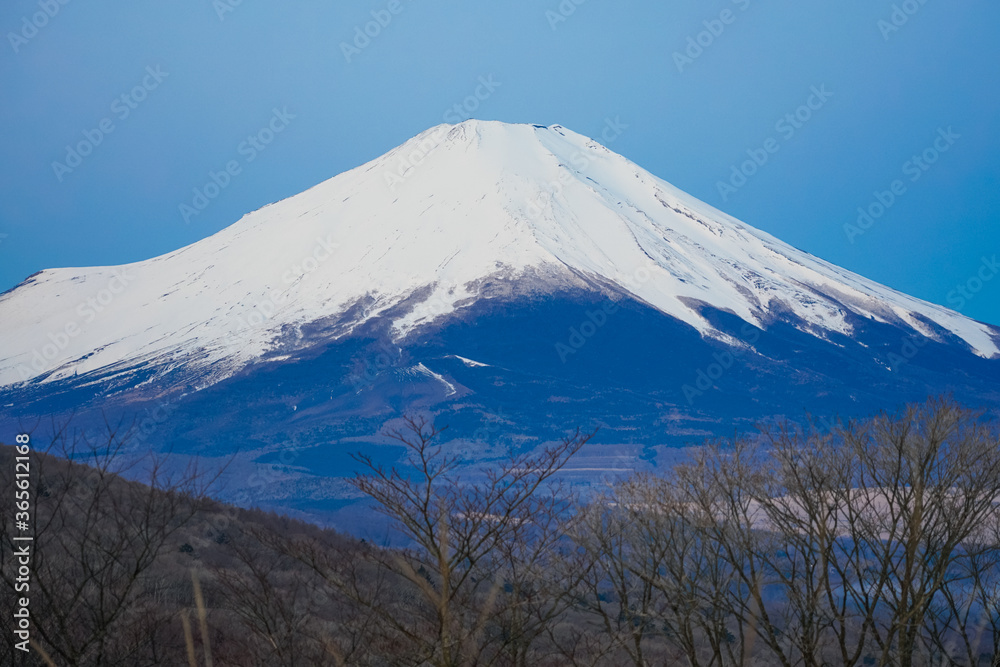 早春の三国峠から富士山　