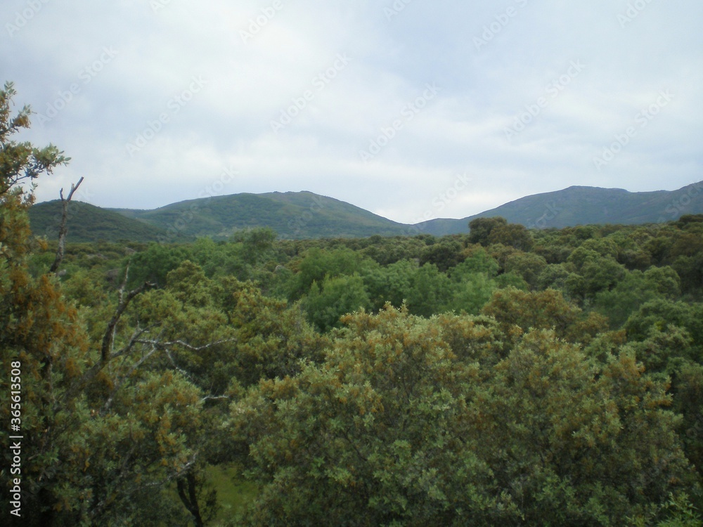 paisajes de montaña