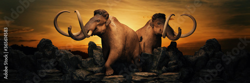 Canvas Print mammoth at sunset. 3d rendering