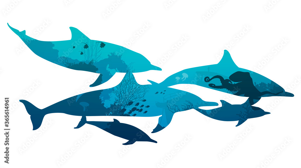 silhouette of a flock of dolphins. Inside is the seabed with corals and marine life. Isolated object on white background silhouette of a flock of dolphins. Inside is the seabed with corals and marine life. Isolated object on white background