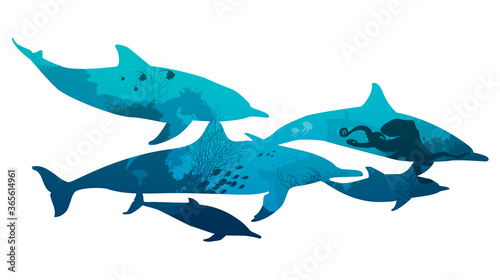 silhouette of a flock of dolphins. Inside is the seabed with corals and marine life. Isolated object on white background