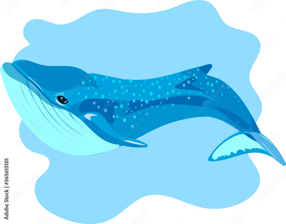 Illustration of cute cartoon whale