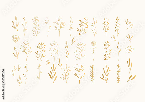 Set of golden herbs  leaves  flowers with stems  branches. Vector hand drawn illustration.