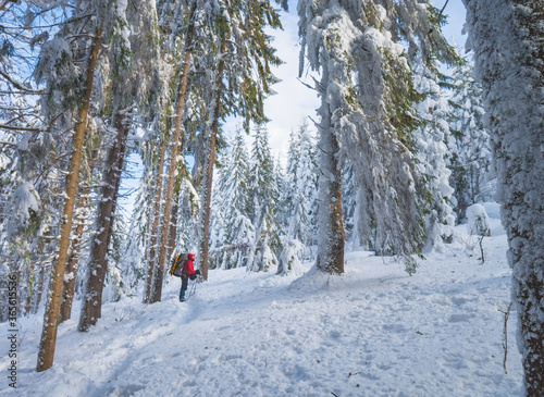 Man hiker with backpack in a winter snowy forest