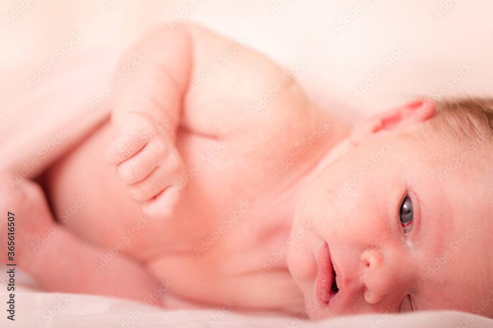 Newborn little boy. Shallow depth of field. Sleeping newborn baby in a wrap on white blanket. Beautiful portrait of little child girl 7 days, one week old. Newborn little boy. Shallow depth of field. Sleeping newborn baby in a wrap on white blanket. Beautiful portrait of little child girl 7 days, one week old.