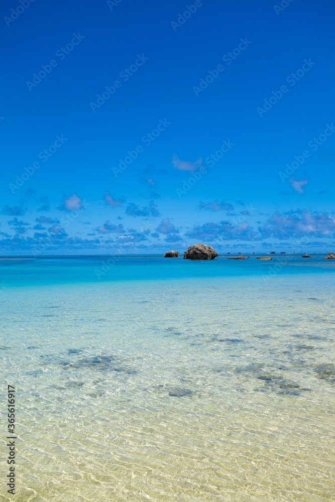 海