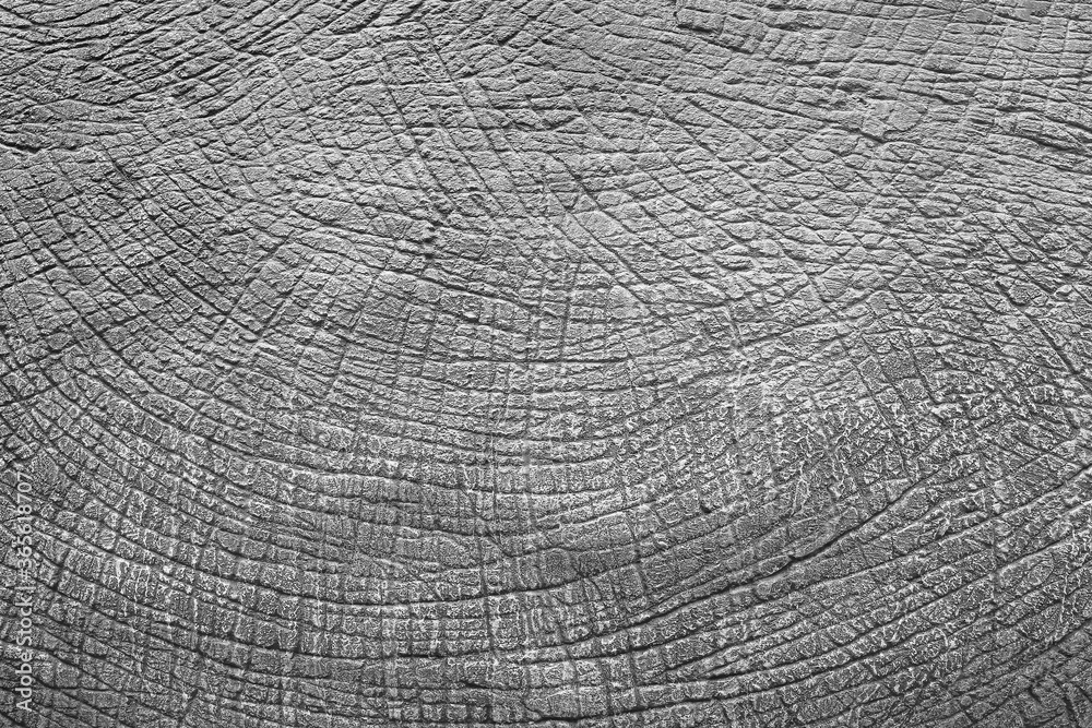 Fototapeta premium Gray cement wall plaster rough style texture abstract for background