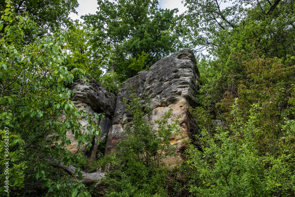 Ehemaliger Steinbruch auf dem Haselstein Ehemaliger Steinbruch auf dem Haselstein