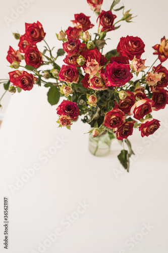 Red roses flowers bouquet on white background. Flat lay, top view floral holiday celebration composition. Wedding, Valentine's Day, Mothers Day.