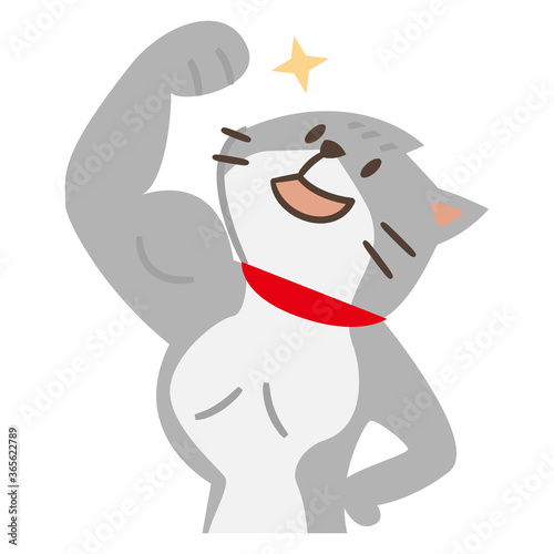 筋肉ムキムキで元気な猫