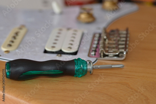 Wall Mural Stratocaster electric guitar pickups and bridge repair