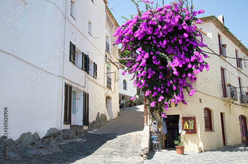 Fototapeta Naklejka Na Ścianę i Meble -  In summer the streets of the Mediterranean village of Cadaqués are full of spectacular Buganvillas that fill the atmosphere with joy and color.