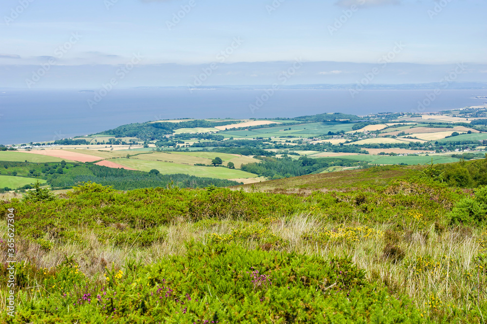 View towards the Bristol channel from the Brendon Hills near Luxborough, Somerset, England