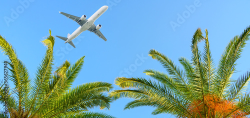 Airplane flying over tropical palm trees on blue sky background