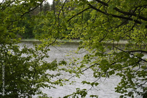 lake