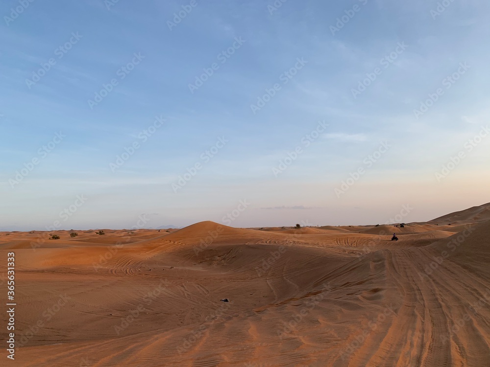 Sand dunes in the desert