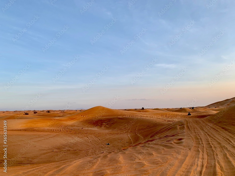 Sand dunes in the desert of Dubai
