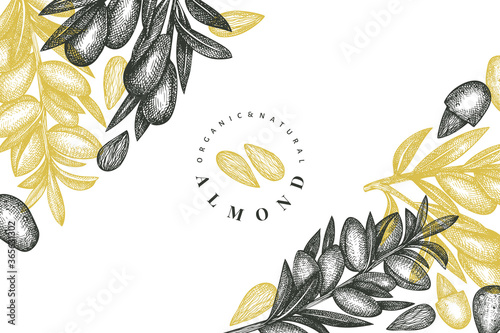 Hand drawn sketch almond design template. Organic food vector illustration. Retro nut illustration. Engraved style botanical background.