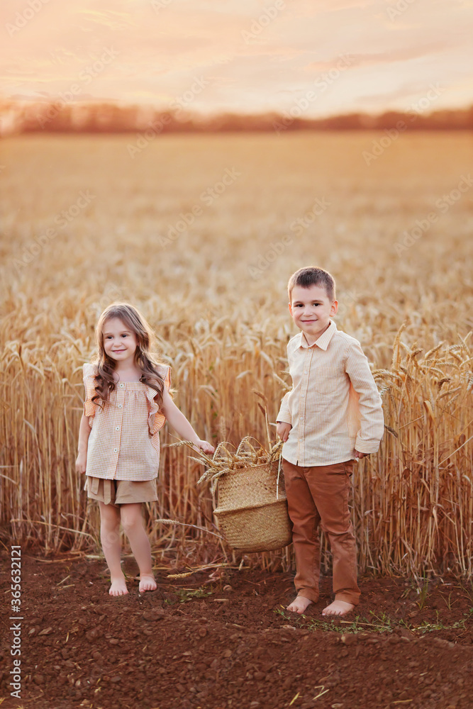 Happy boy and girl, brother and sister in wheat field at sunset harvest ...