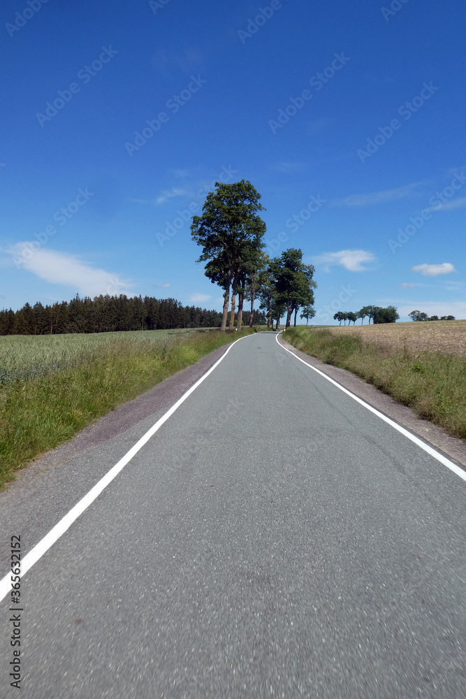 Fototapeta premium Straße zwischen Lothra und Drognitz