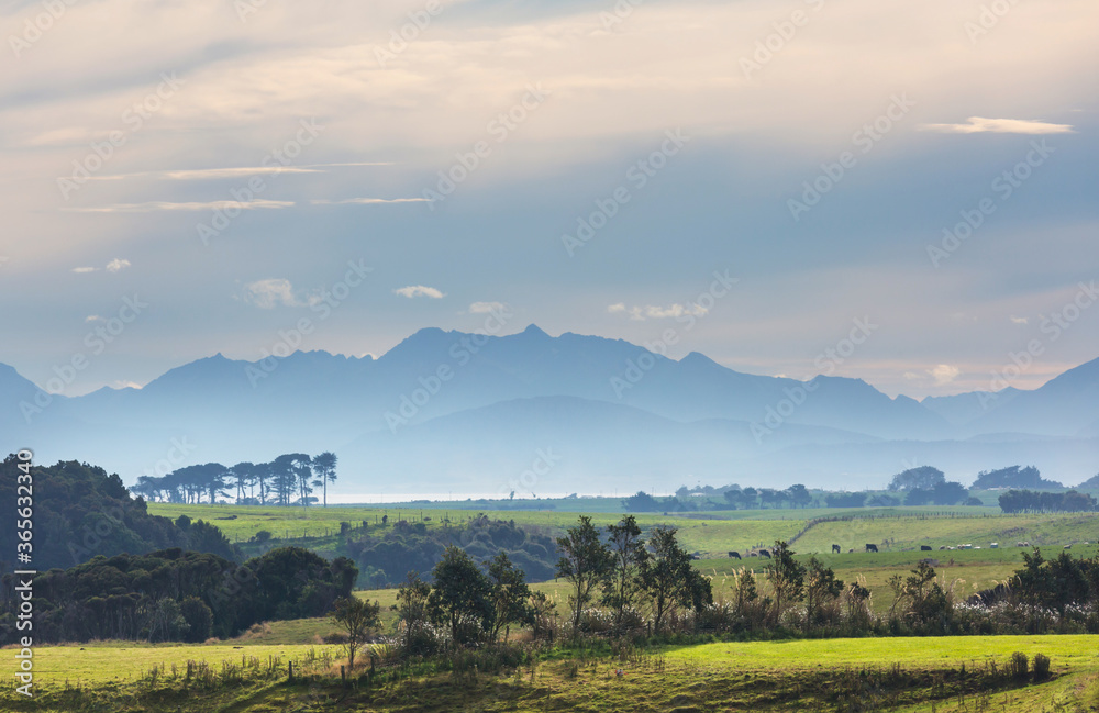 New Zealand hills