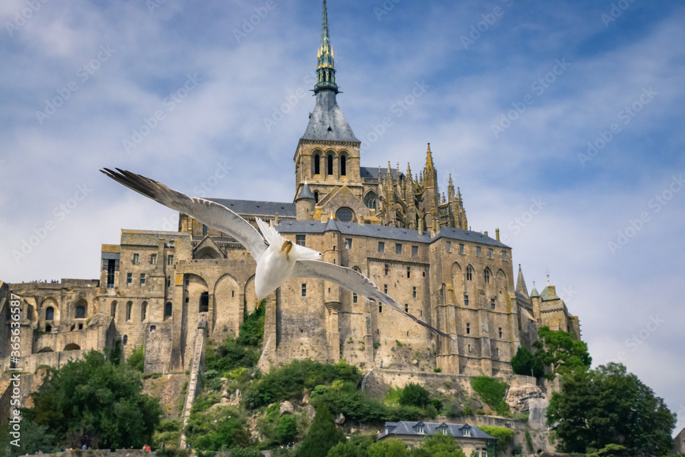 mont saint michel with seagull