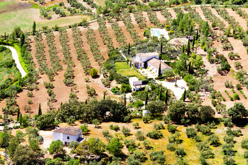 View of a fresh and panoramic landscape with orchards, vineyards and fields near Ronda city in Andalucia, Spain. Ronda is one of the white cities (pueblos blancos) and popular tourist destination.