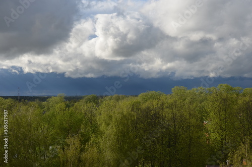 clouds over the forest