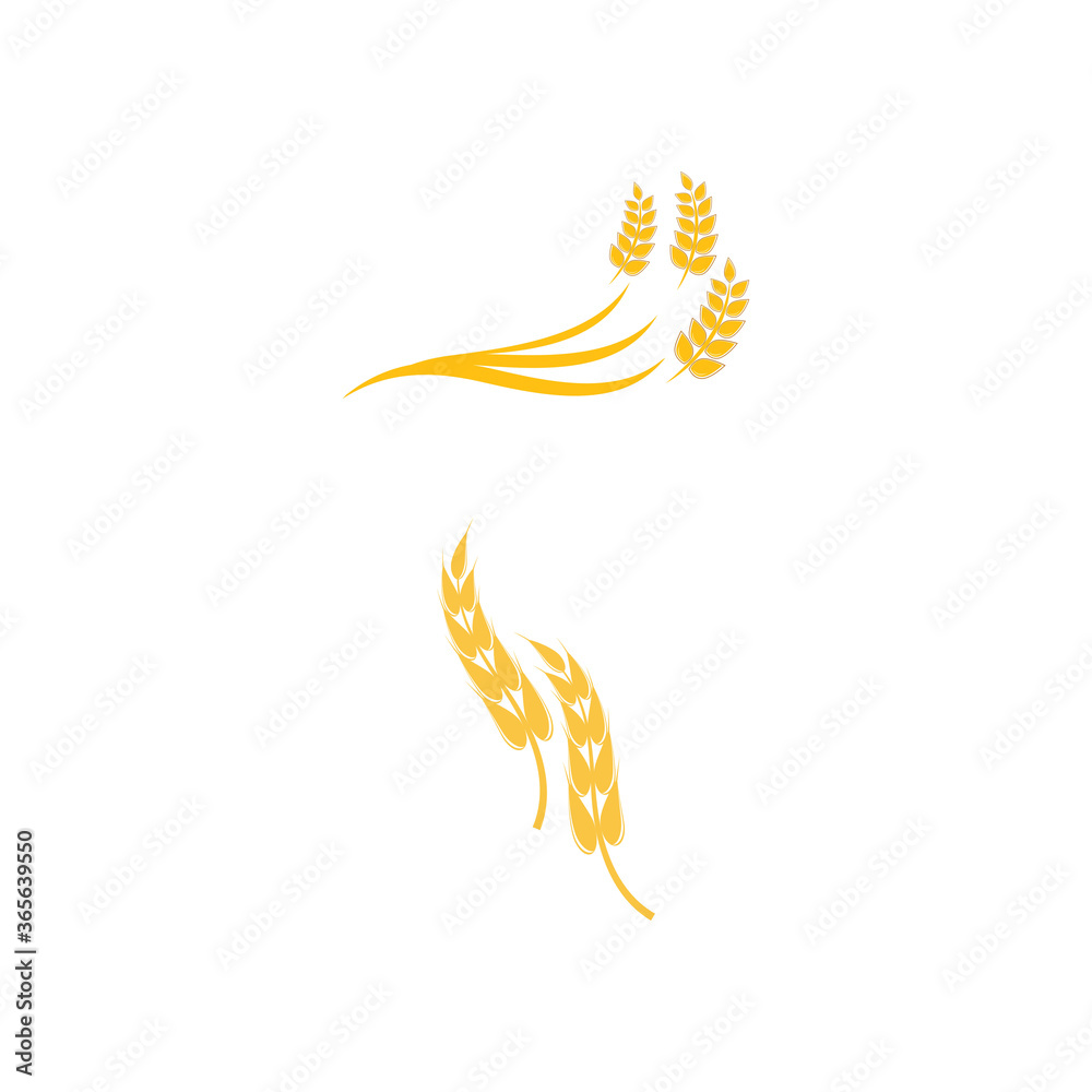 Wheat Logo Template vector symbol Wheat Logo Template vector symbol