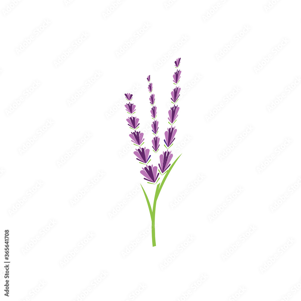Obraz premium Lavender Logo Template vector symbol