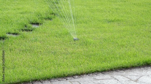 head of garden, yard, lawn, grass automatic irrigation watering system, close up full HD stock video footage in real-time