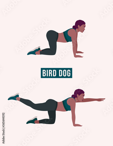 Bird Dog exercise, Woman workout fitness, aerobic and exercises. Vector Illustration.