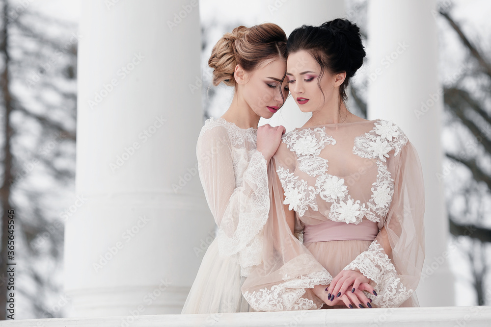 Close up fashionable portrait couple of two cute girls best friends embracing and standing outdoors in beautiful long chiffon dresses Perfect hairstyle. Wedding style and shooting for magazine. Close up fashionable portrait couple of two cute girls best friends embracing and standing outdoors in beautiful long chiffon dresses Perfect hairstyle. Wedding style and shooting for magazine.
