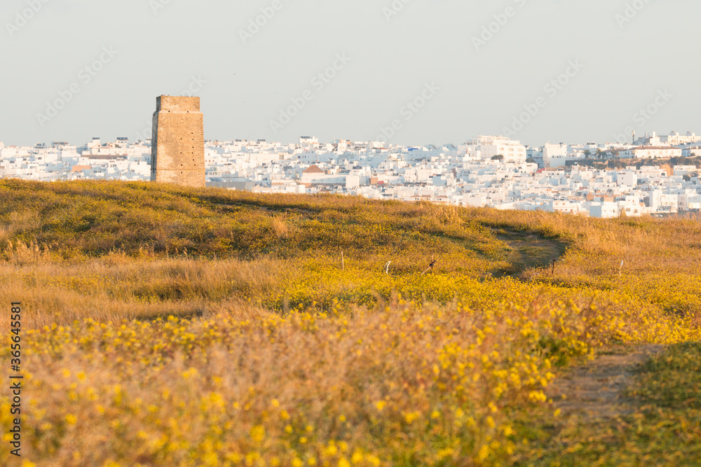 Castilnovo Watchtower at sunrise with Conil in the background y field with yellow flowers in the foreground Castilnovo Watchtower at sunrise with Conil in the background y field with yellow flowers in the foreground