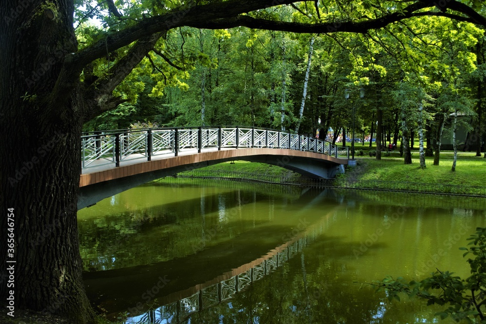 Fototapeta premium bridge over the lake in the park