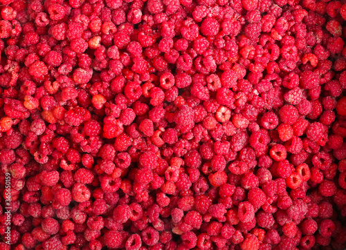  lots of raspberries