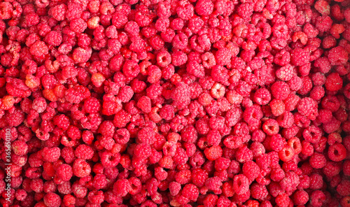 lots of raspberries