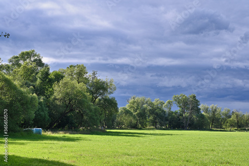 Fototapeta Naklejka Na Ścianę i Meble -  Grüne Landschaft mit Wiese und Bäumen und bewölktem Himmel wird von der Sonne seitlich erstrahlt